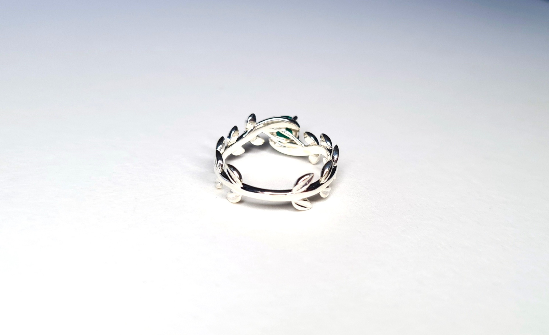Shawn McGuiness — Promise Ring view 4